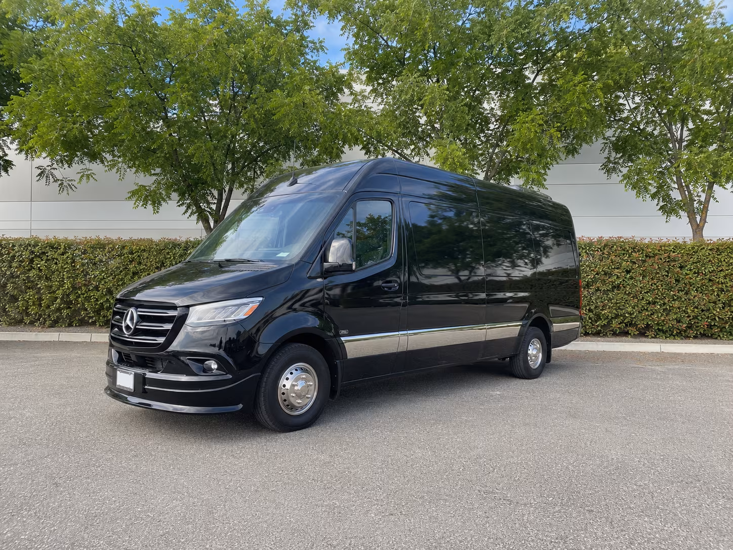 college station sprinter van with driver