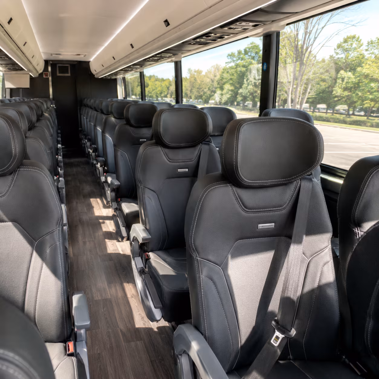 long distance bus trips from college station to houston austin and dallas
